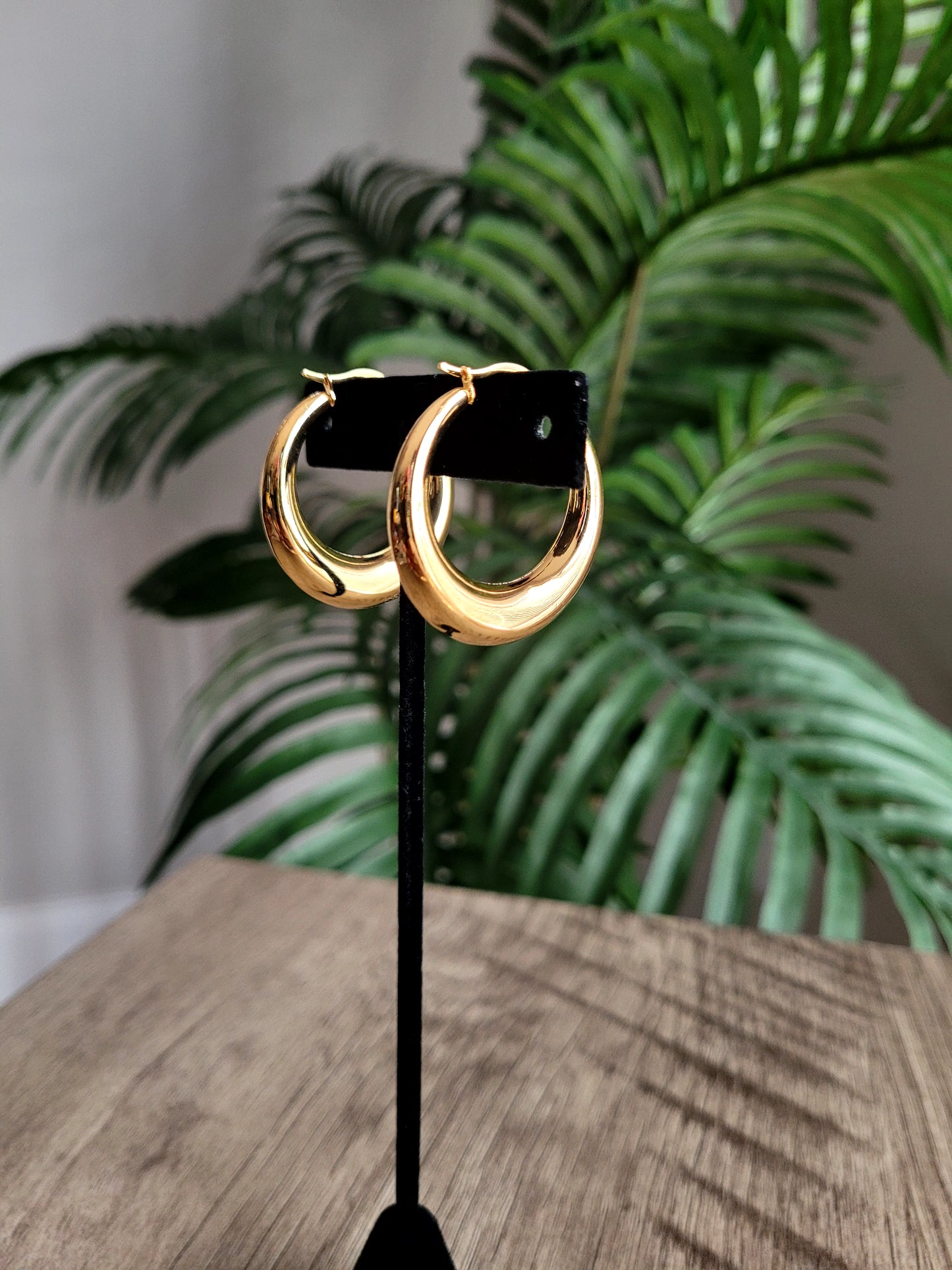 Erica | Stainless Steel Circle Hoops